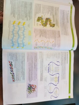 Biología, 2 Bachillerato, Proyecto Construyendo...