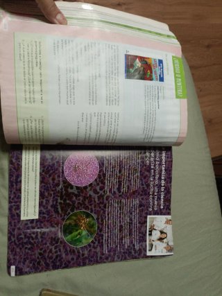 Biología y Geología. 1 Secundaria. Revuela. Com...