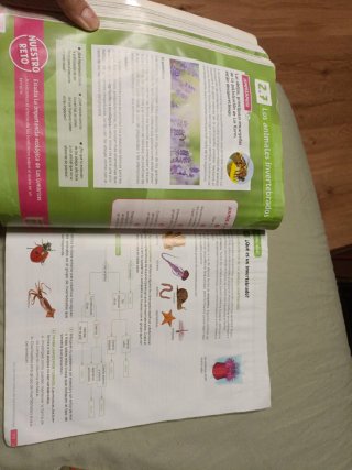 Biología y Geología. 1 Secundaria. Revuela. Com...