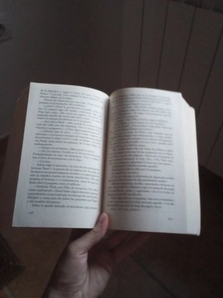 Morir por ti, libro