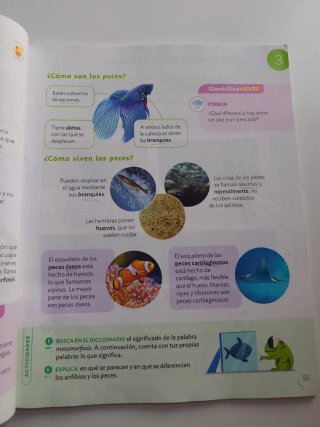 Ciencias de la naturaleza, 3 Primaria
