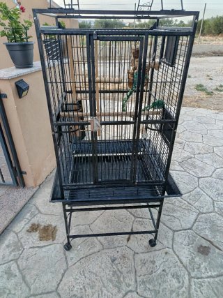 Jaula para loros grande