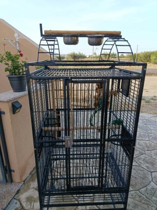 Jaula para loros grande