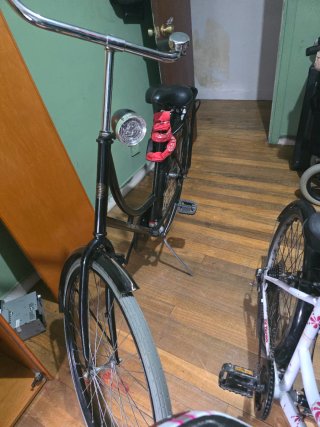 Bicicleta Holandesa Negra
