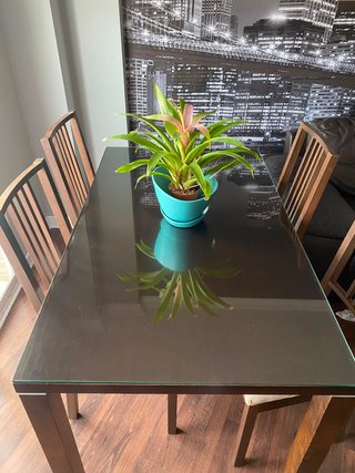 Mesa de comedor con 4 sillas