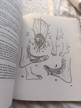 Libro medicina fisiología articular