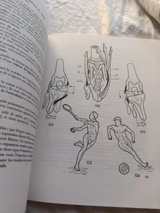 Libro medicina fisiología articular