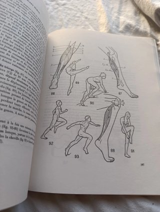 Libro medicina fisiología articular