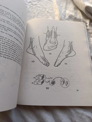 Libro medicina fisiología articular