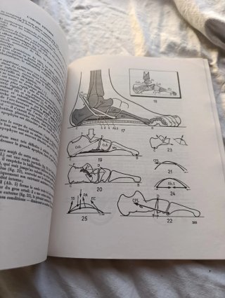 Libro medicina fisiología articular
