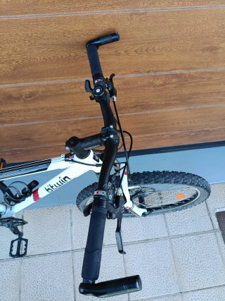 Bicicleta de Montaña