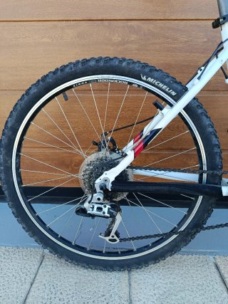 Bicicleta de Montaña