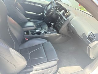 Audi S5 V8