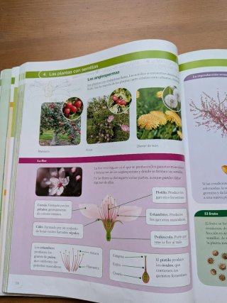 Libro Biología y Geología 1º ESO Santillana Madrid