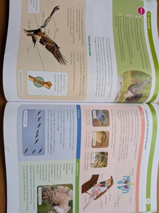 Libro Biología y Geología 1º ESO Santillana Madrid