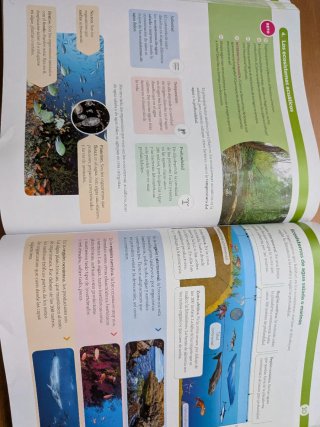Libro Biología y Geología 1º ESO Santillana Madrid