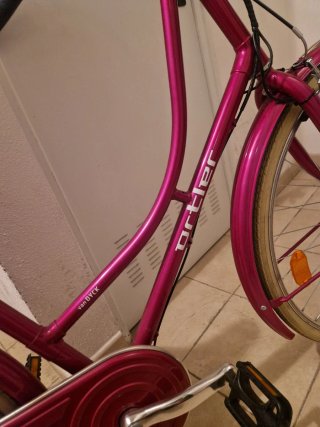 Bicicleta Holandesa Ortler Van Dyck