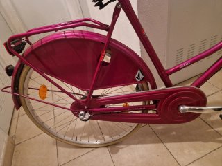 Bicicleta Holandesa Ortler Van Dyck