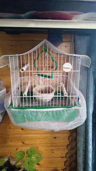 Jaulas pájaros a 7 euros cada una. Tres diseños.