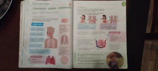 Ciencias de la Naturaleza, 6 Primaria, Proyecto...