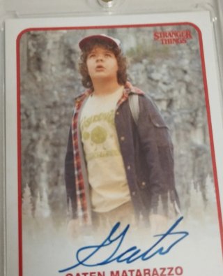 Autógrafo  Dustin Henderson Stranger things Rookie