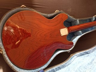 Guitarra Maison SA355