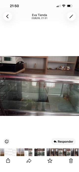 Cámara frigorífica de madera y cristal Mostrador