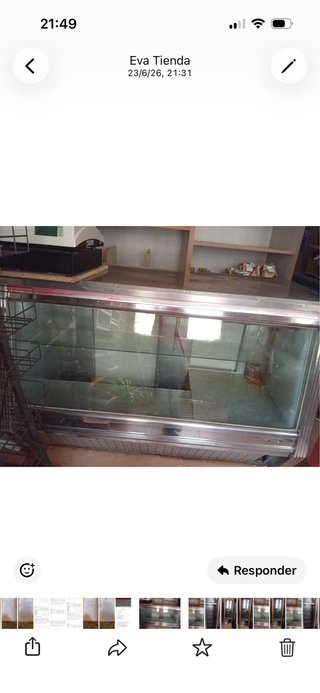 Cámara frigorífica de madera y cristal Mostrador