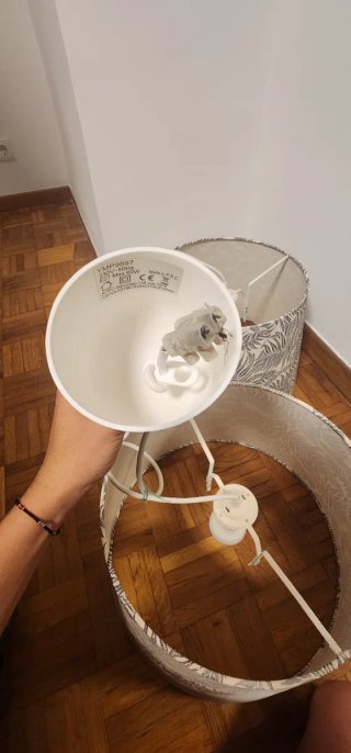 Lámpara de techo diseño helechos