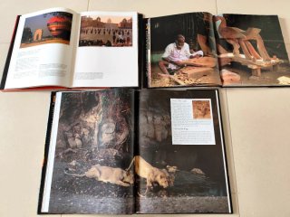 Lote of 3 Books about India