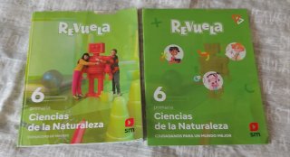 2 libros Ciencias de la Naturaleza, 6 Primaria,C.M