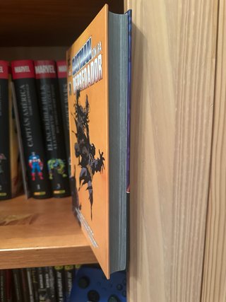 Batman contra Depredador