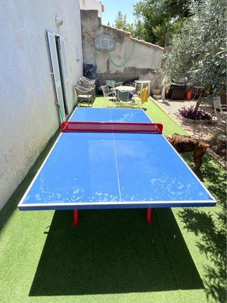 Tavolo da ping pong Softee per esterni