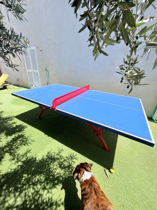 Tavolo da ping pong Softee per esterni