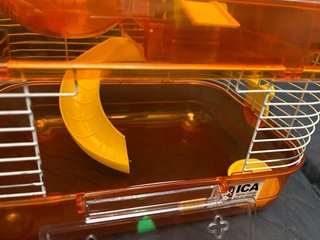 Jaula Hámster Transparente con Rueda