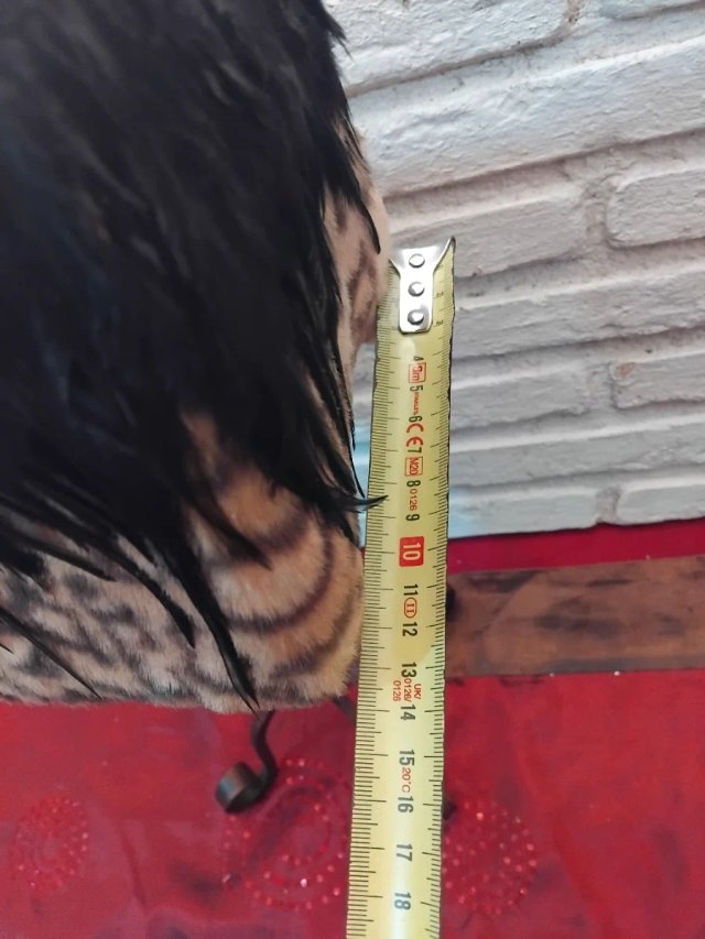 Lámpara de mesa decorativa
