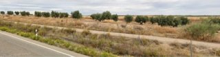 •Finca agro ganadera en Huelva.