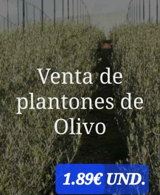•Finca agro ganadera en Huelva.