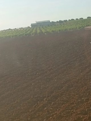 •Finca agro ganadera en Huelva.