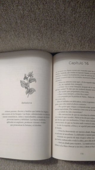Sendero de estrellas