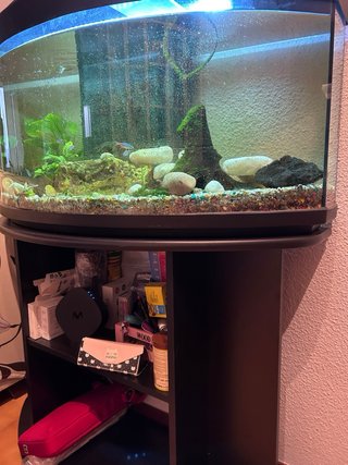 Acuario completo con mueble y accesorios