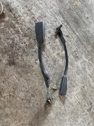 Cinturones Patrol Y60