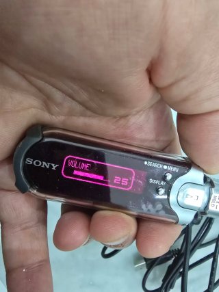 Lettore MP3 Sony NW-E405 Walkman