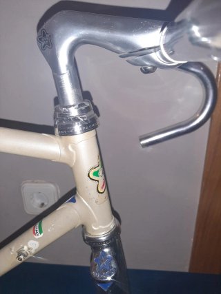 Cuadro Olmo Competition Columbus T.53
