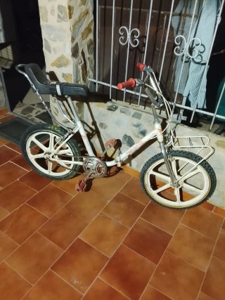 Bicicleta Torrot Infantil