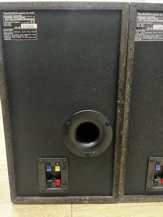 Altavoz Technics SB-DV250