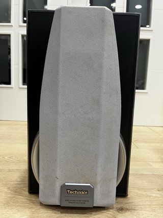 Altavoz Technics SB-DV250