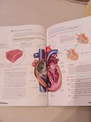 Biología y Geología 3º ESO. Libro del estudiant...