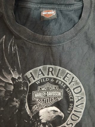 Camiseta Harley-Davidson Pennsylvania