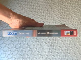 🇫🇷 Mes amis Mes amours - Marc Levy